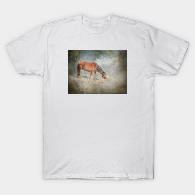 Morning Sun T-Shirt by Susan Werby